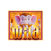 wild  - โชคลาภแห่งคเนศ